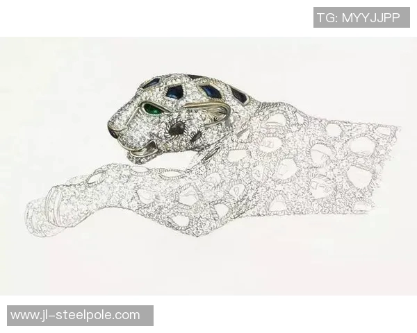 足球明星小猎豹的传奇故事与成长历程小说推荐