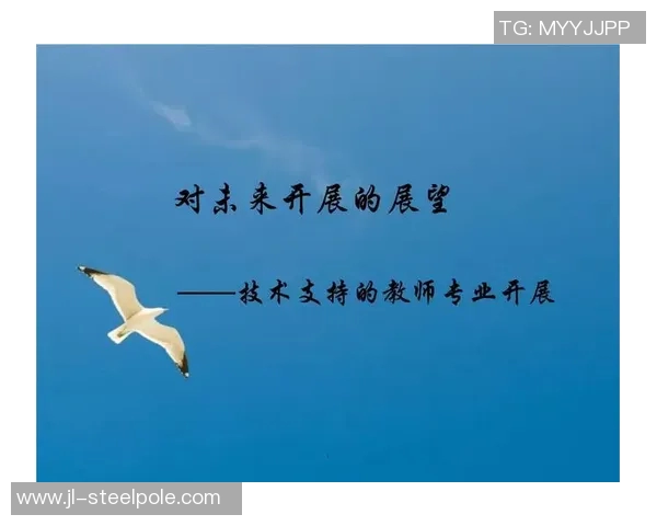 篮球明星莆田的崛起与发展探索背后的故事与未来展望